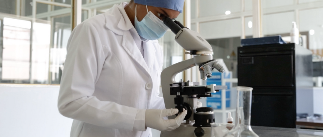 laboratorios orizaba labosa video 
